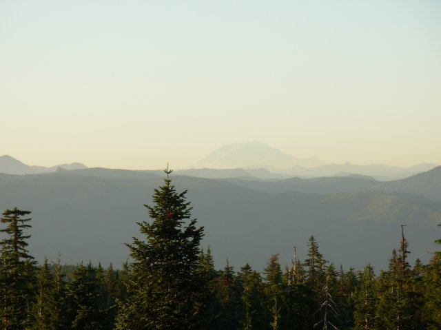 7.25.06 Larch Mountain 020 